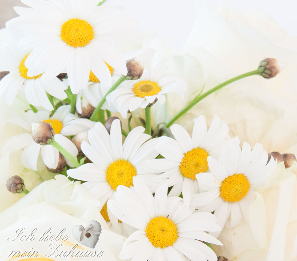 Blog-Eintrag Sonntag im Landhausstil mit Himbeer-Schokotraum Bild 11