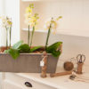 Lene Bjerre - Zink-Topfsatz Modell 2 aus der Karina Collection