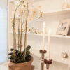 Lene Bjerre - Orchidee large aus der Flora Collection