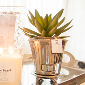 Lene Bjerre - Sukkulente aus der Flora Collection