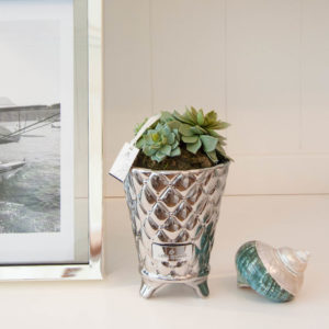 Lene Bjerre - Runde Sukkulente aus der Flora Collection